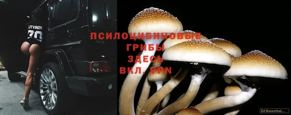 spice Нефтегорск
