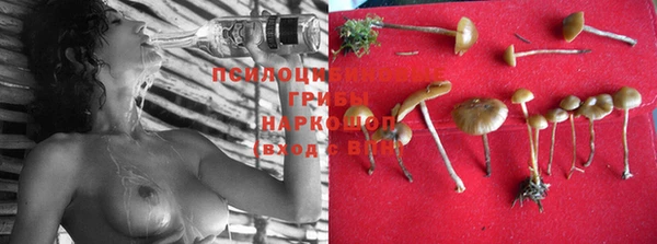 spice Нефтегорск