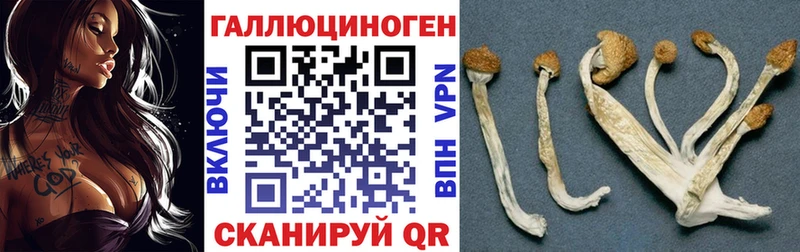 Купить  Балаково  Псилоцибиновые грибы Cubensis 